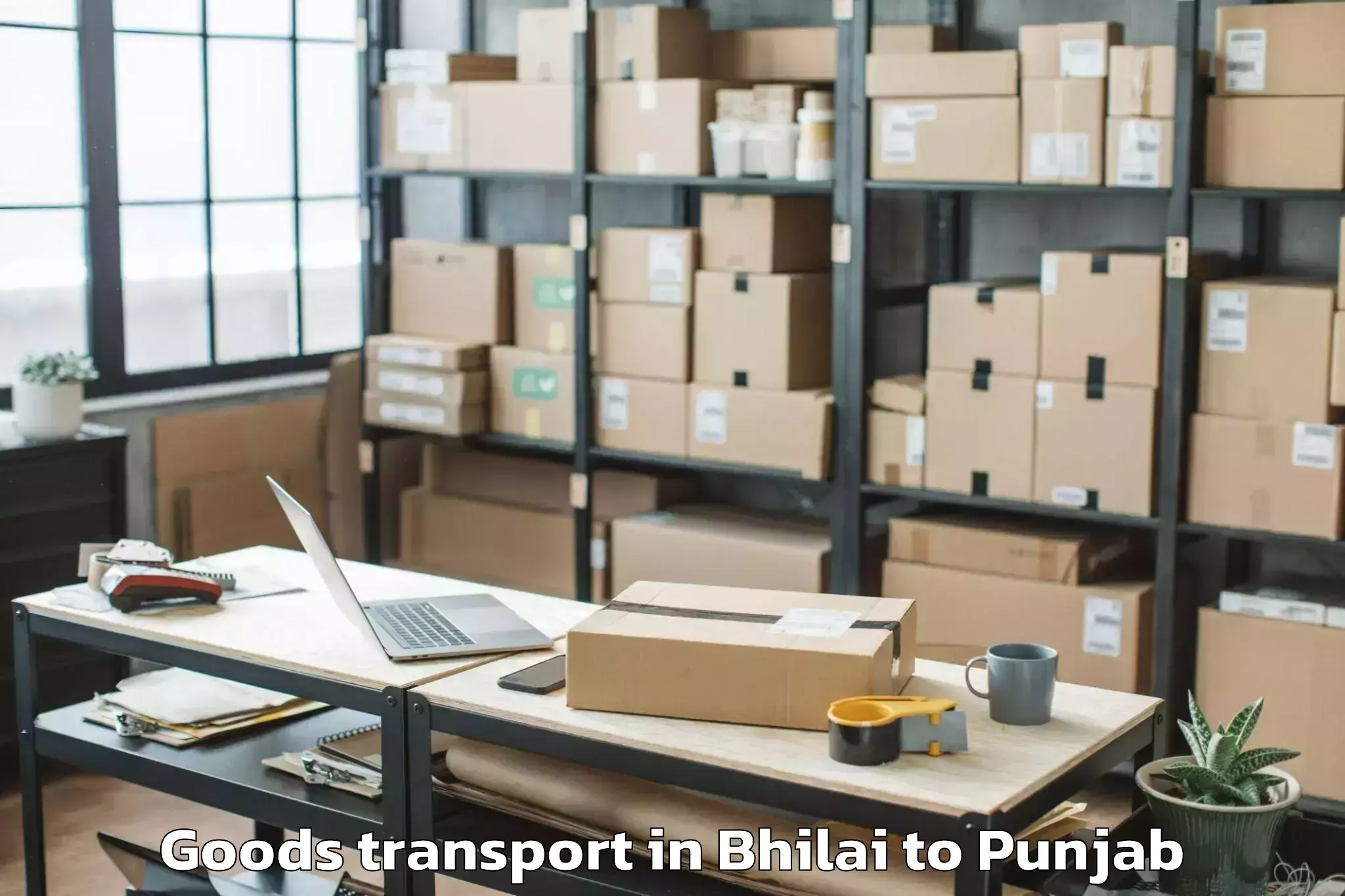 Reliable Bhilai to Maler Kotla Goods Transport